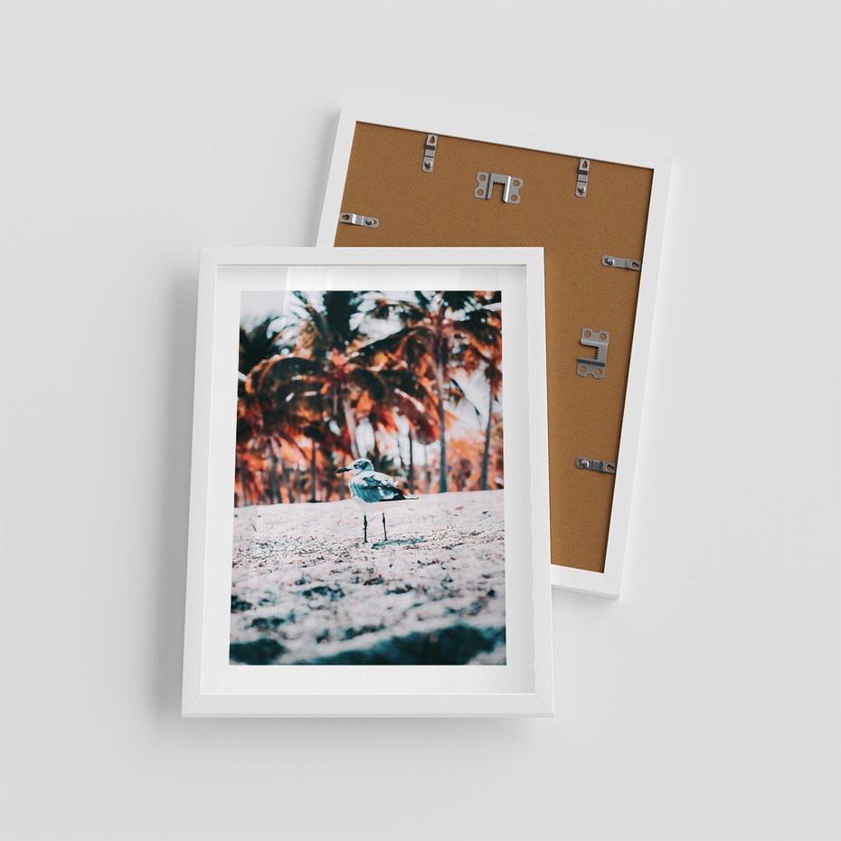 Plakat w ramie 30x40 - Tropikalna Uroda: Plaża z Mewą - tropikalna plaża, mewa na piasku - rama biała