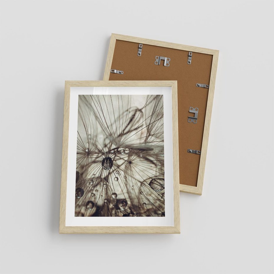 Plakat w ramie 30x40 - Lekkie dmuchawce - dmuchawce, krople - rama drewno