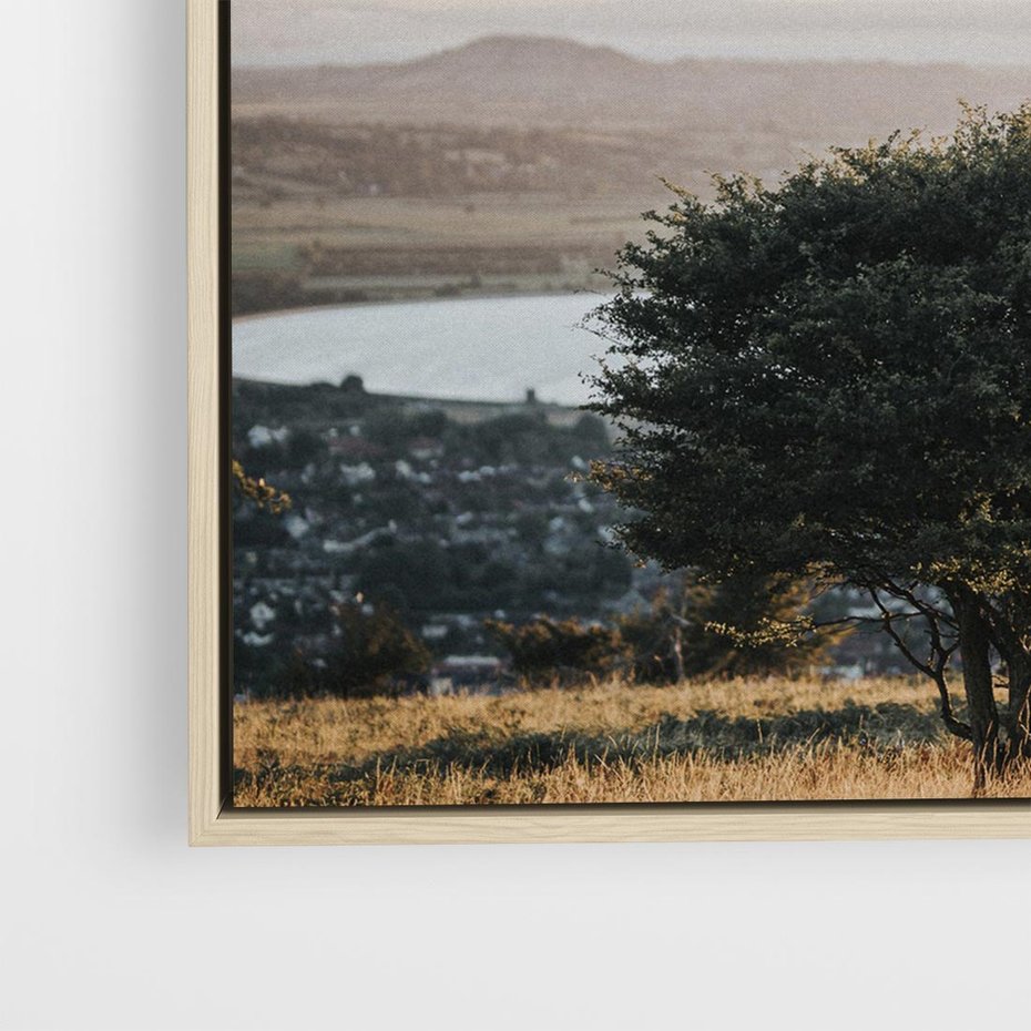 Obraz w ramie 50x50 - Siła Natury - drzewo, pejzaż - rama drewno