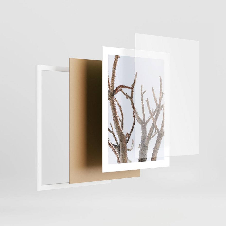 Plakat w ramie 30x40 - Pustynna Harmonia Gałęzi - pustynna roślina, suche gałęzie - rama biała