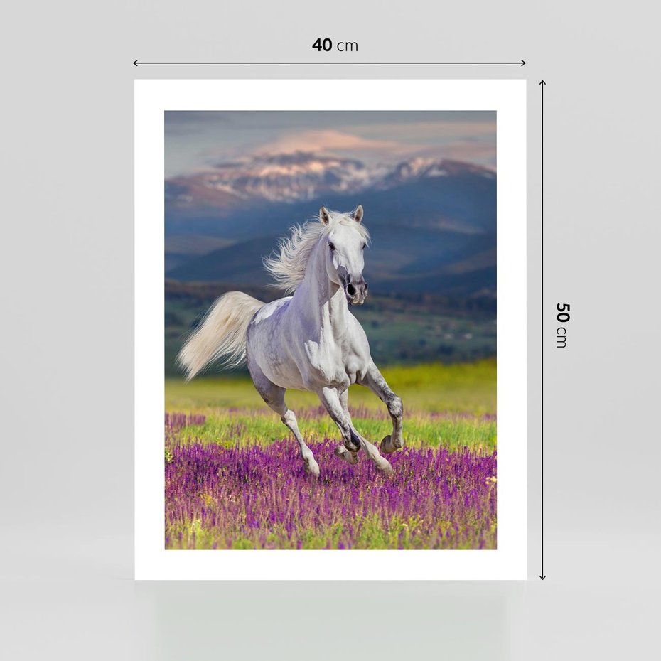 Plakat bez ramy 40x50 - Koń Góry: Spotkanie z Wielką Przyrodą - koń, góry