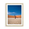 Plakat w ramie 50x70 - Słońce i Suche Drzewo - pustynia, suche - rama drewno