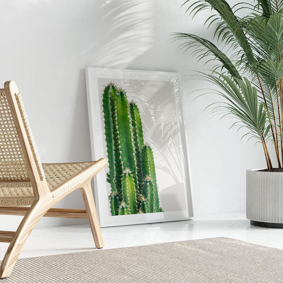 Plakat w ramie 30x40 - Minimalistyczne Kaktusy na Białym Tle - kaktusy, minimalistyczna fotografia - rama biała