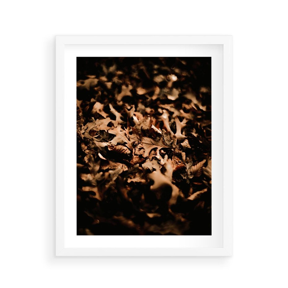 Plakat w ramie 40x50 - Jesienne Liście: Nostalgiczna Kolorystyka - suche liście, jesień - rama biała