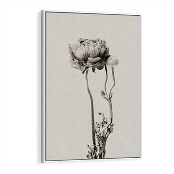 Obraz w ramie 50x70 - Cień Kwiatowej Delikatności - kwiat, cień - rama biała