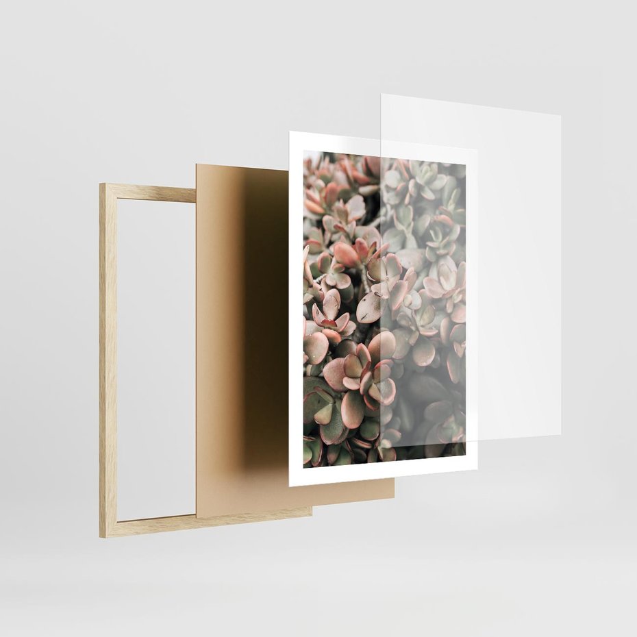 Plakat w ramie 50x70 - Sukulentowa Prostota - sukulenty, zielone liście - rama drewno