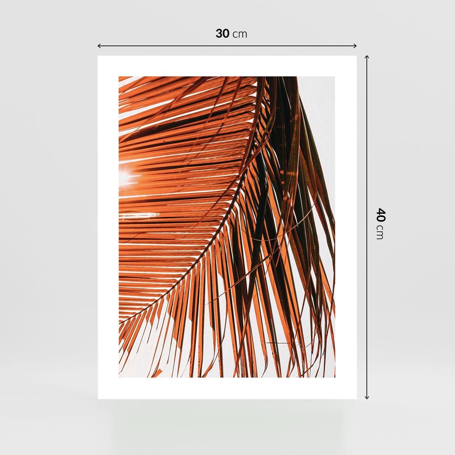 Plakat bez ramy 30x40 - Słońce na Palmie - palma, promienie słońca