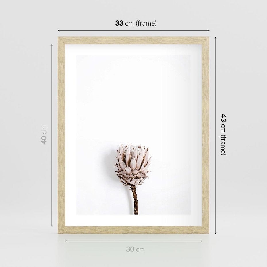 Plakat w ramie 30x40 - Suszona Roślina na Białym Tle - minimalizm, suszona roślina - rama drewno