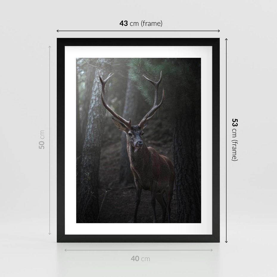 Plakat w ramie 40x50 - Jeleń wśród lasu - jeleń, las - rama czarna