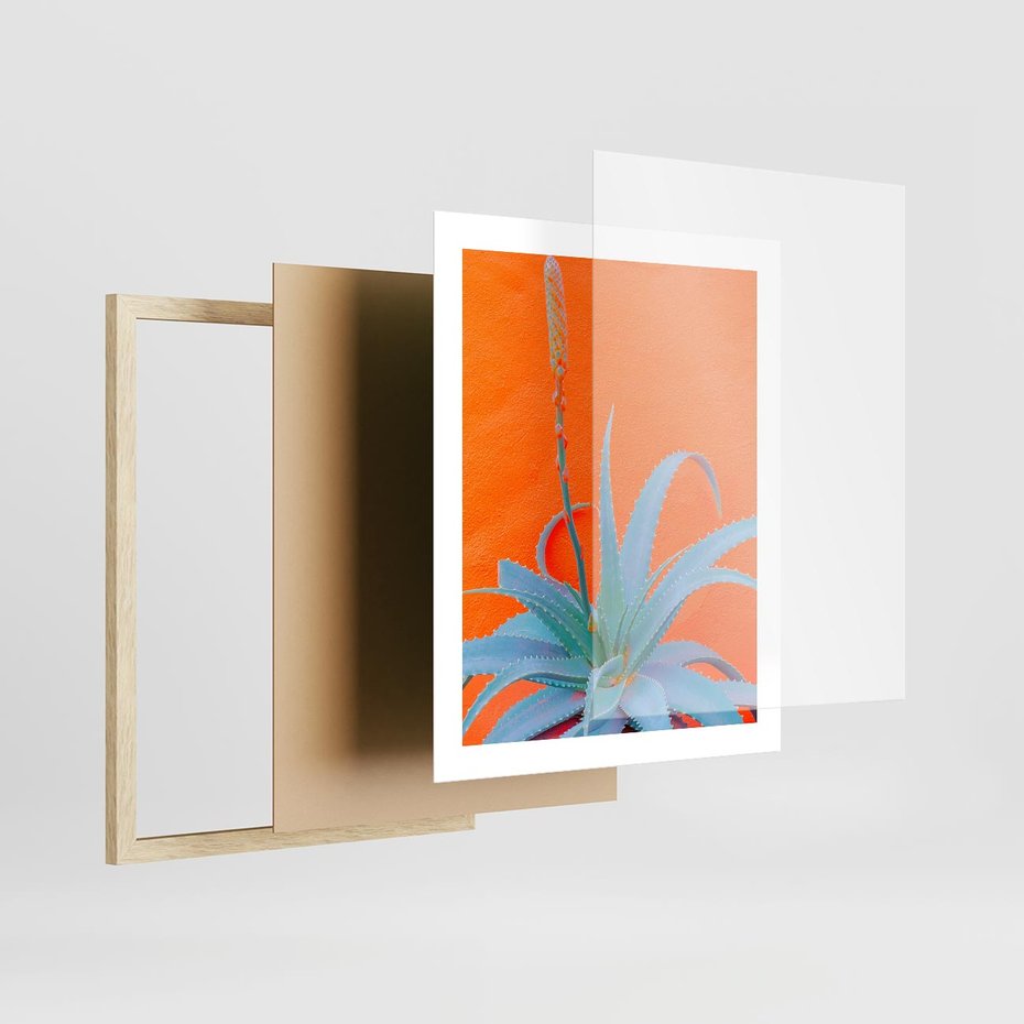 Plakat w ramie 40x50 - Naturalna Harmonia - kaktusy, liście - rama drewno