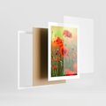 Plakat w ramie 30x40 - Makowa Pasja - maki, kwiaty - rama biała