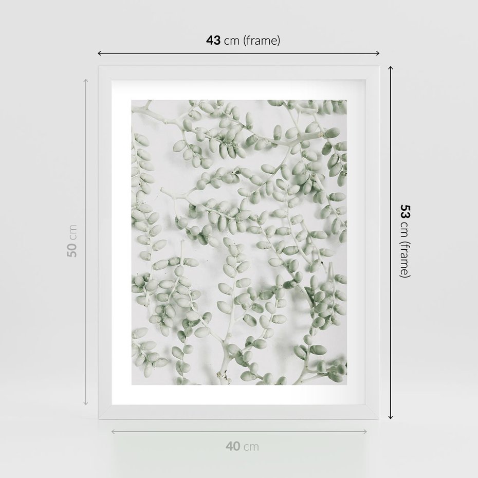 Plakat w ramie 40x50 - Delikatność Zieleni - zielone gałązki, listki - rama biała