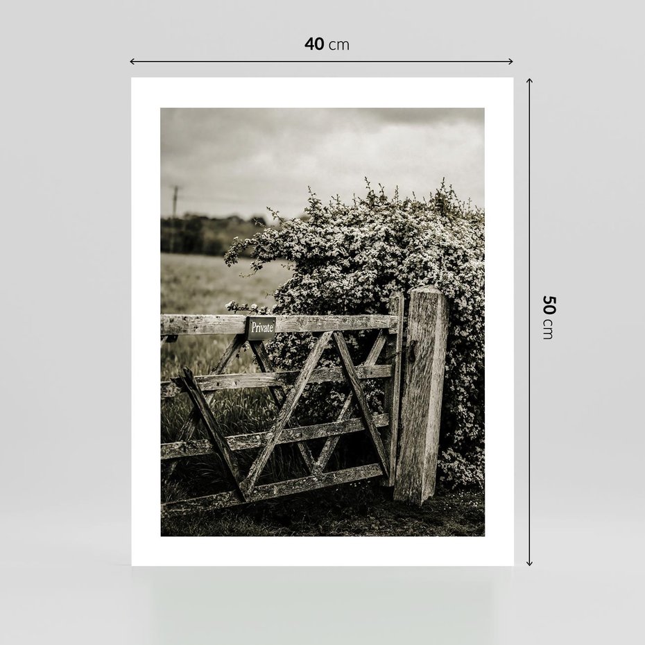 Plakat bez ramy 40x50 - Wiejski Urok: Stary Płot i Kwitnący Krzew - rustykalne zdjęcie, stary płot