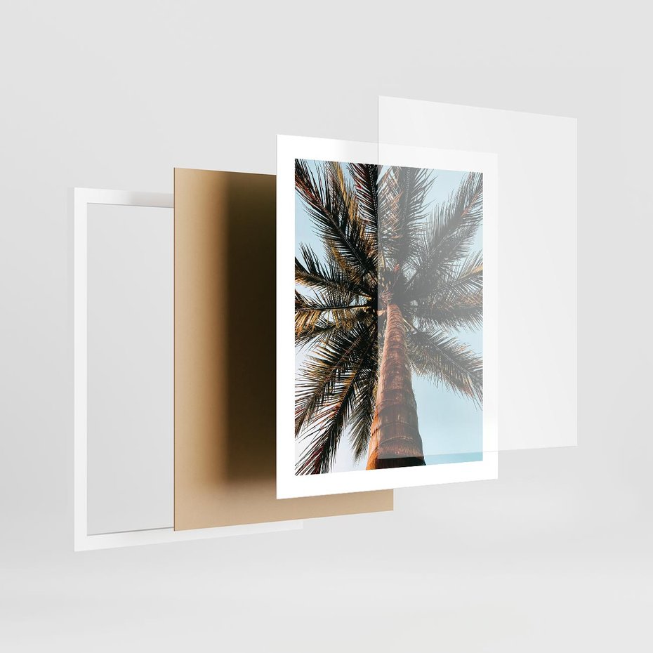 Plakat w ramie 40x50 - Rajskie Inspiracje: Palma na Niebie - palma, na tle nieba - rama biała