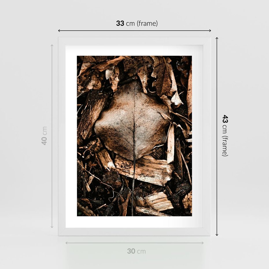 Plakat w ramie 30x40 - Samotny Liść - liść, brąz - rama biała