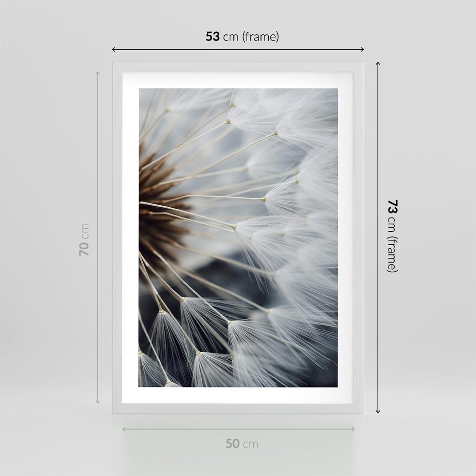 Plakat w ramie 50x70 - Dmuchawce w Naturze - dmuchawiec, zbliżenie - rama biała