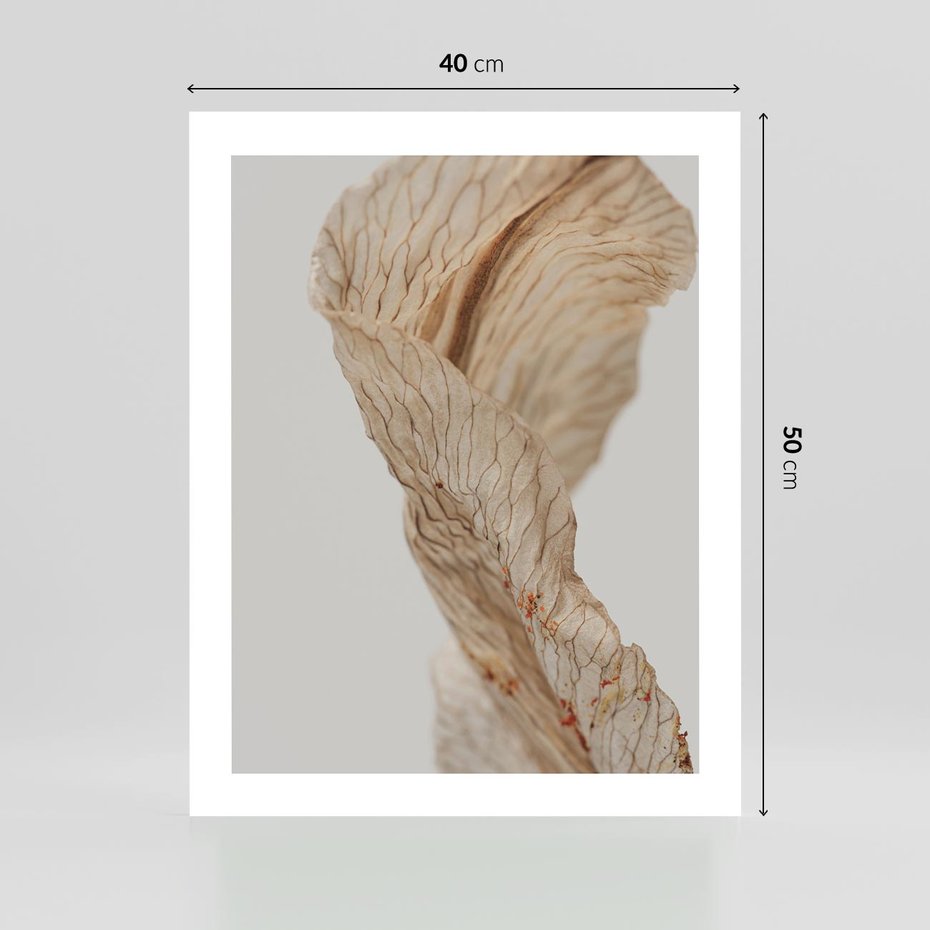 Plakat bez ramy 40x50 - Suszone piękno - susz, suche