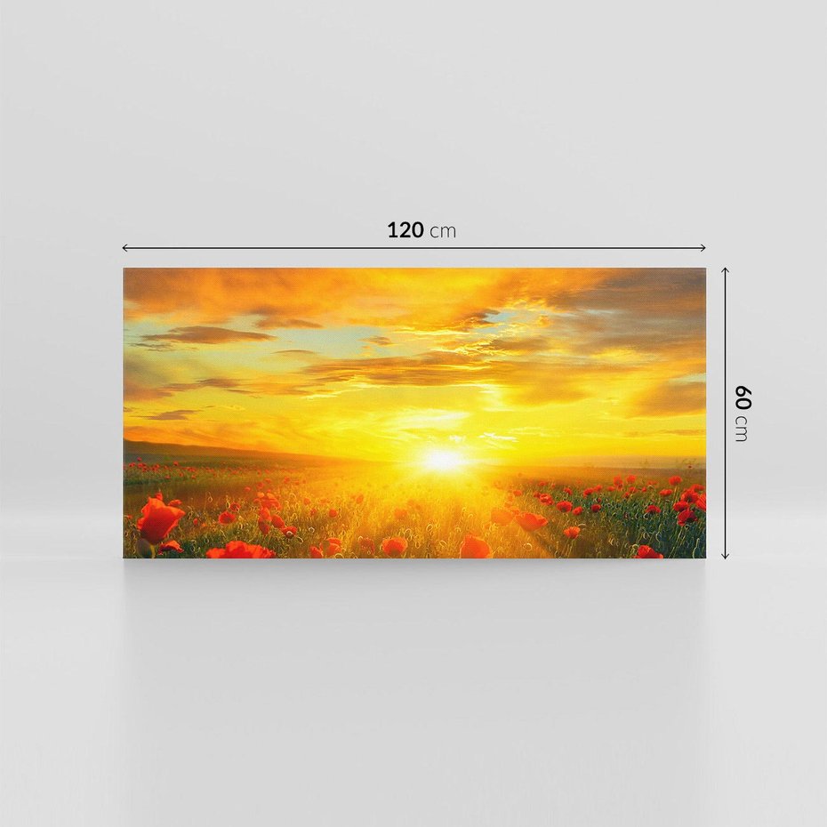Obraz na płótnie 120x60 - Magia zachodu słońca na łące z makami - łąka, zachód słońca