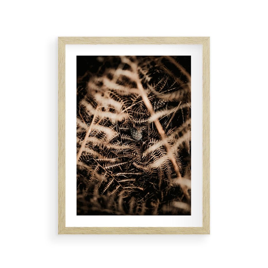 Plakat w ramie 30x40 - Liście i Paprocie - suche liście, paprocie - rama drewno