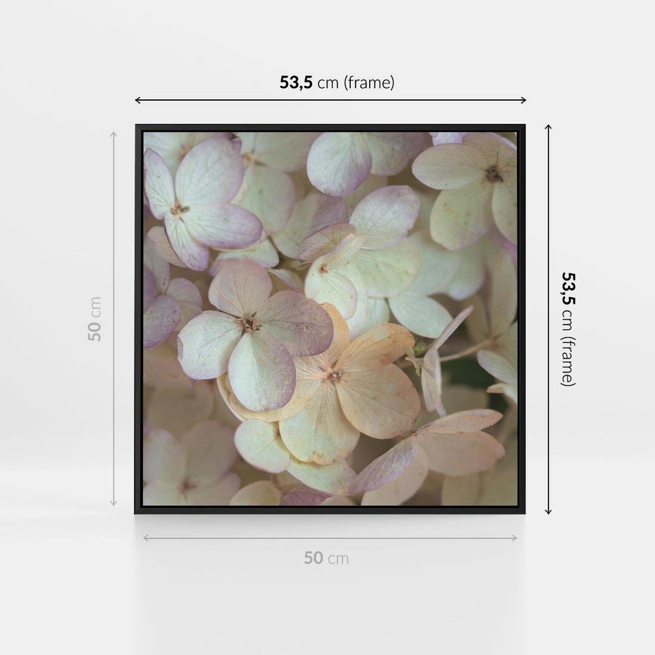 Obraz w ramie 50x50 - Kwiatowy taniec - kwiaty, hortensje - rama czarna