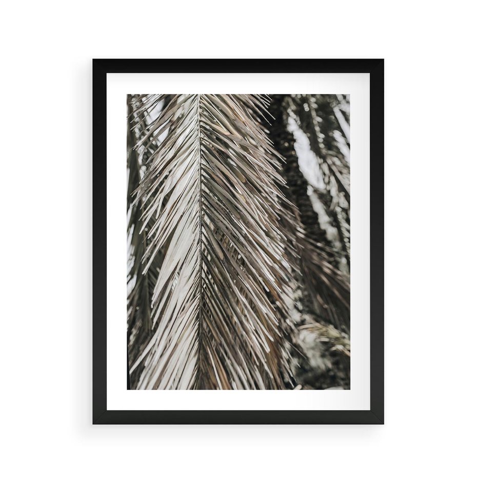 Plakat w ramie 40x50 - Egzotyczne Gałęzie - suche gałęzie, liście palmy - rama czarna