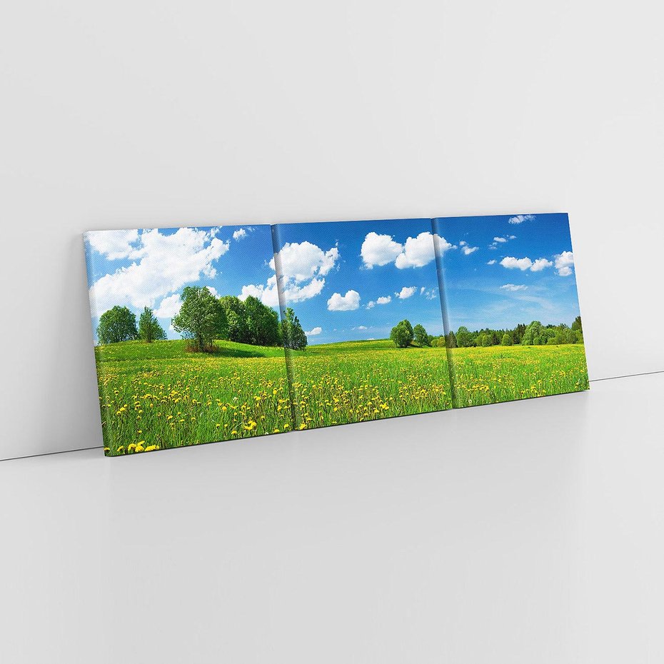 Obraz na płótnie 150x50 - Polana wśród drzew: Spokój i harmonia - polana, łąka