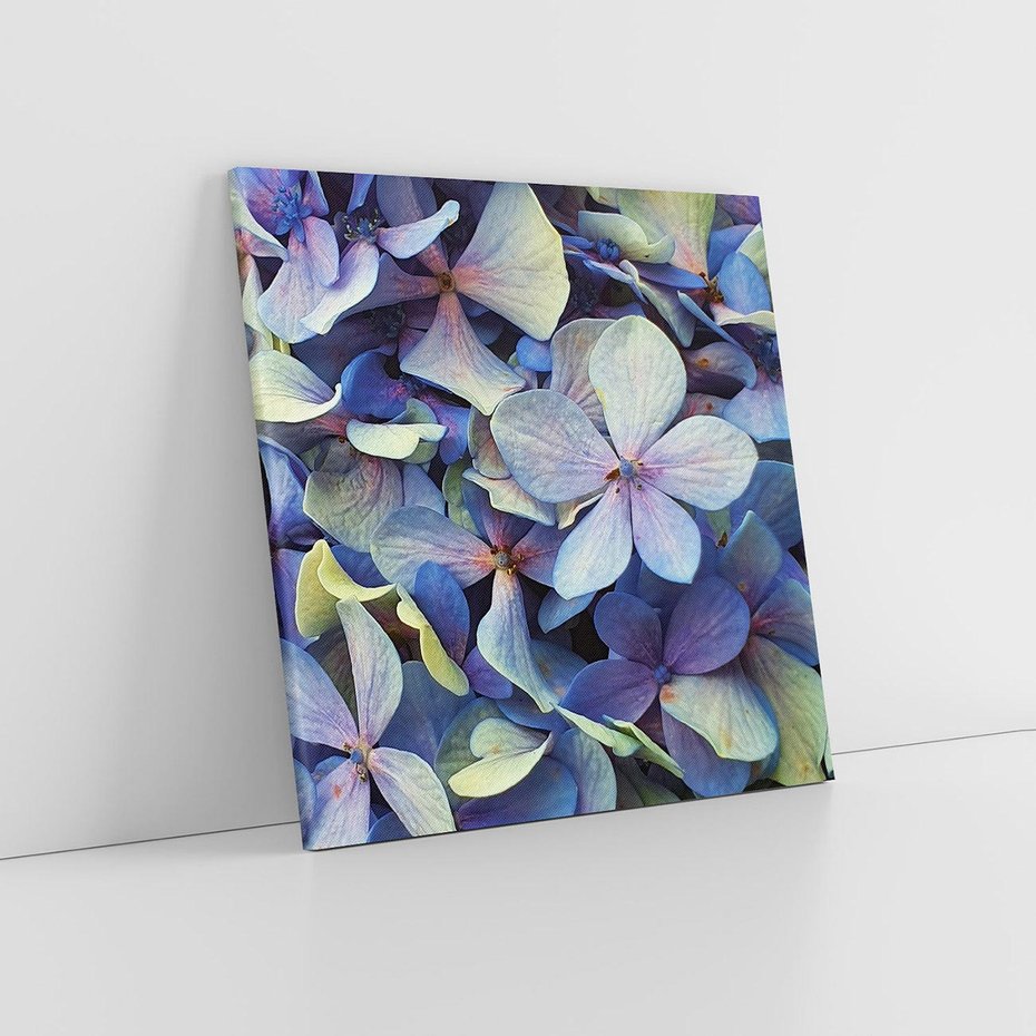 Obraz na płótnie 80x80 - Hortensja - delikatność kwiatów - hortensja, kwiaty