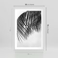 Plakat w ramie 50x70 - Czarno-Biały Kontrast - czarno białe zdjecie, palma - rama biała