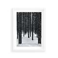 Plakat w ramie 30x40 - Zimowe Drzewa: Śnieg na Pniach - drzew w zimi, pnie drzew - rama biała