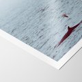Plakat bez ramy 30x40 - Spotkanie z Orką - morze, ocean