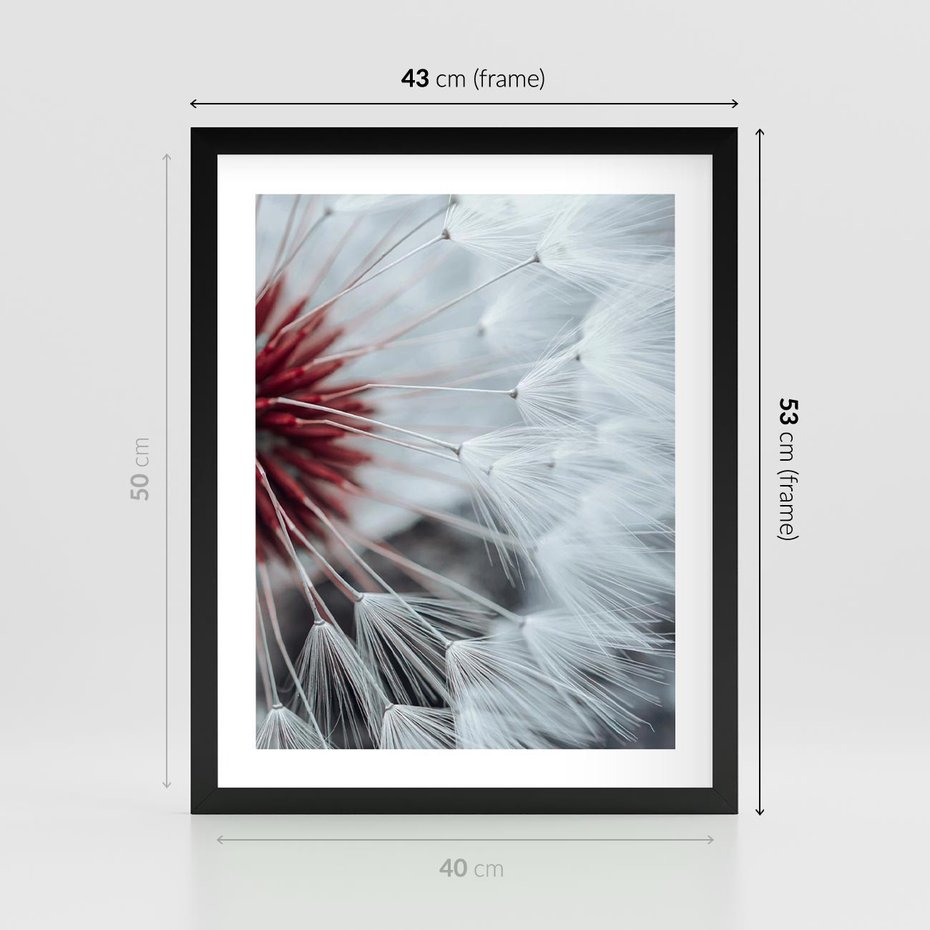 Plakat w ramie 40x50 - Makro świat dmuchawca - dmuchawiec, makro - rama czarna