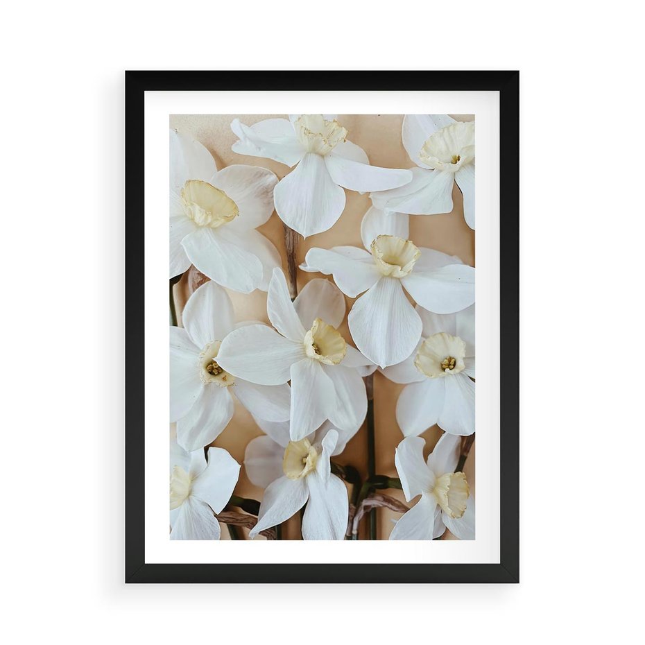 Plakat w ramie 50x70 - Białe Narcyzy - narcyzy, kwiaty - rama czarna