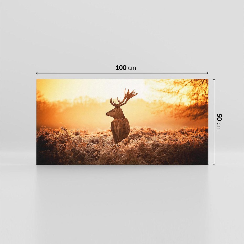 Obraz na płótnie 100x50 - Magia jesiennego słońca: Jeleń w promieniach - jeleń, jesień