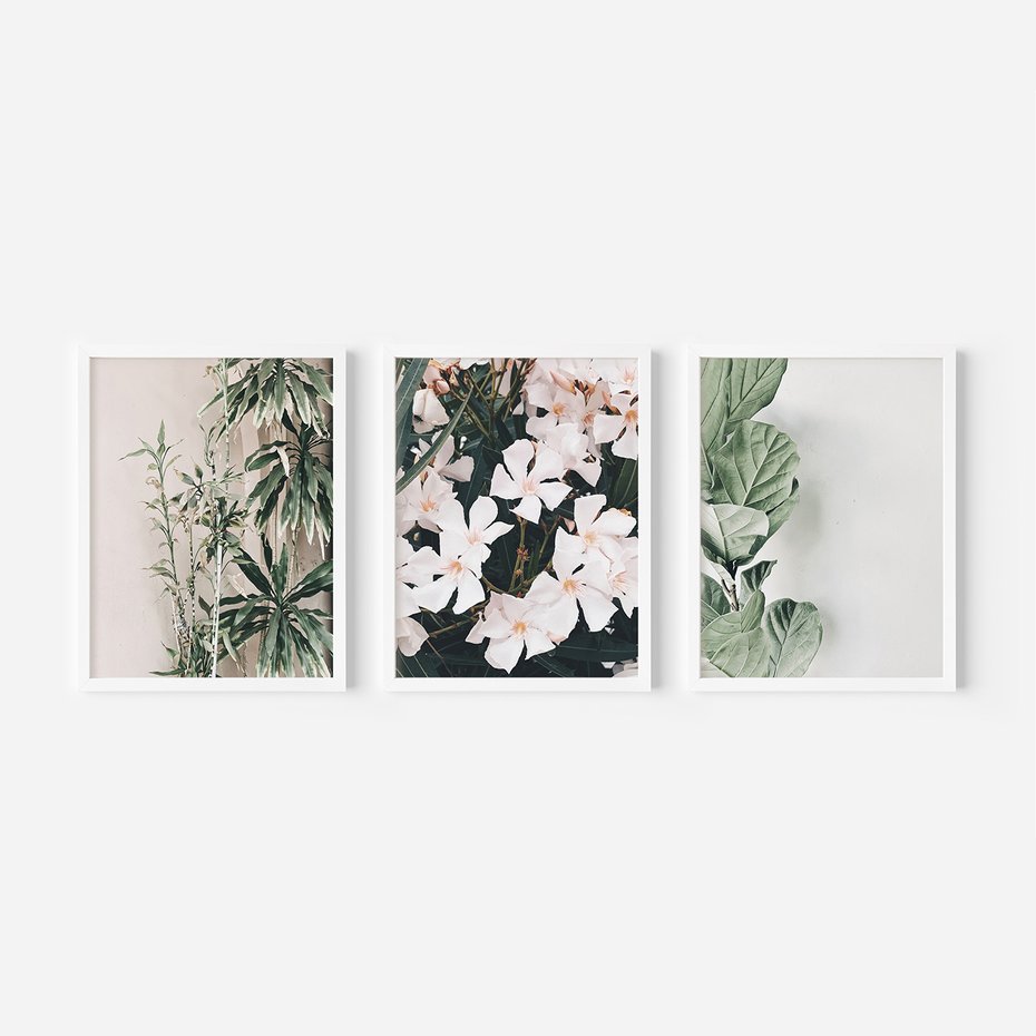 Zestaw obrazy w ramie 30x40 galeria - Liście, kwiaty, nowoczesny, styl - rama biała