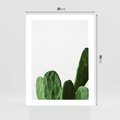 Plakat bez ramy 30x40 - Minimalizm Natury - kaktus, zbliżenie