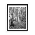 Plakat w ramie 40x50 - Spadające Liście - czarno białe zdjecie, park - rama czarna