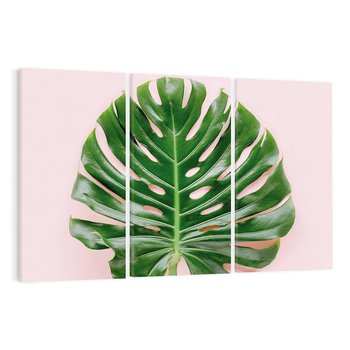 Obraz na płótnie 120x80 - Egzotyczna Roślinność - liście, monstera