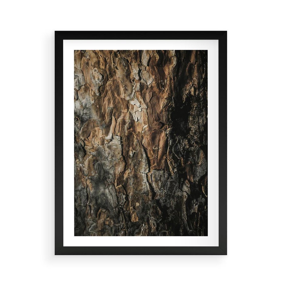 Plakat w ramie 50x70 - Tekstura Drewna: Zbliżenie - zbliżenie na pień drzewa, tekstura - rama czarna