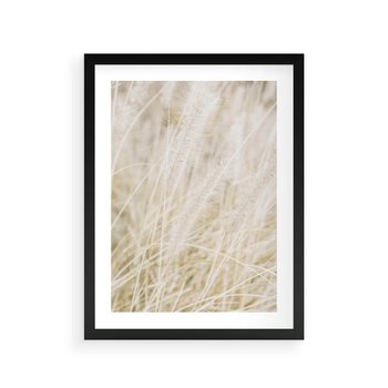 Plakat w ramie 40x50 - Białe Trawy Pampas - suche trawy, białe trawy - rama czarna