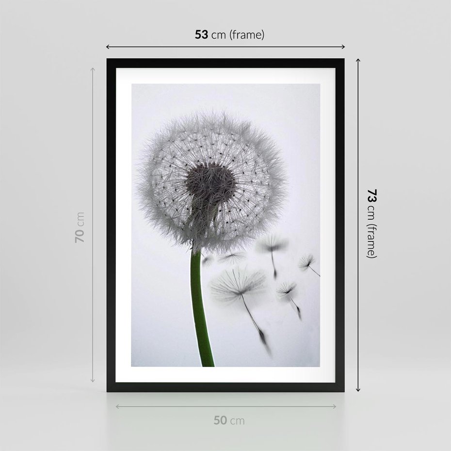 Plakat w ramie 50x70 - Lekkość Przemijania - dmuchawiec, makro - rama czarna