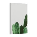 Obraz na płótnie 70x100 - Majestatyczne Wysokości - kaktusy, liście