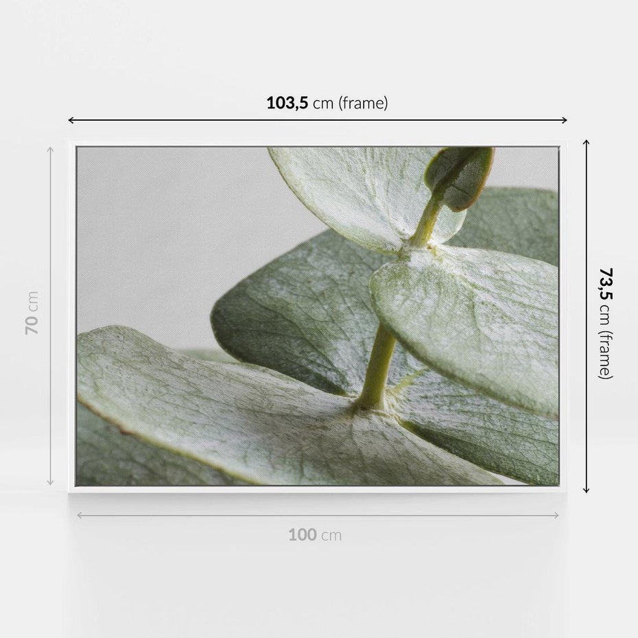 Obraz w ramie 100x70 - Eukaliptusowa zieleń - eukaliptus, zielone - rama biała