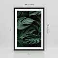 Plakat w ramie 50x70 - Zielone Liście Monstery w Dżungli - zielone liście monstery, dżungla - rama czarna