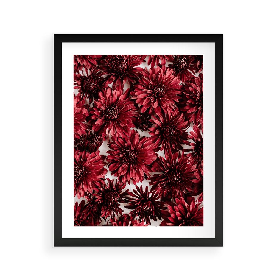 Plakat w ramie 40x50 - Energia Kwiatów - czerwone kwiaty, kompozycja - rama czarna