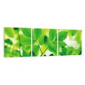 Obraz na płótnie 150x50 - Magia liści - liście, drzewo