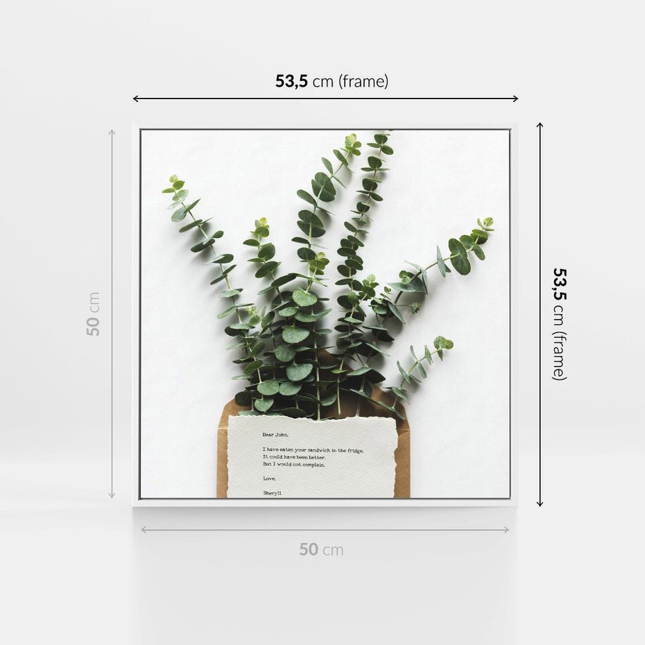 Obraz w ramie 50x50 - Eukaliptusowa harmonia - eukaliptus, liście - rama biała