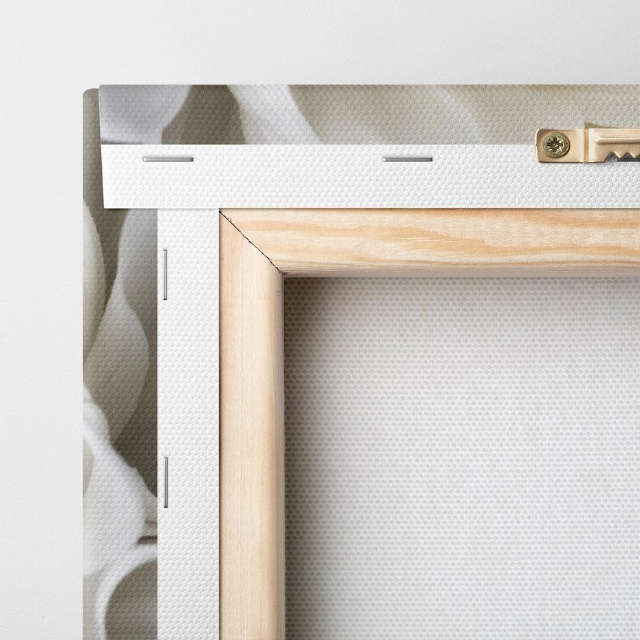 Obraz na płótnie 70x100 - Białe Kwiaty Delikatności - białe, kwiaty