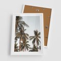 Plakat w ramie 50x70 - Palmy - tęsknota za Hawajami - palmy, Hawaje - rama biała