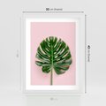 Plakat w ramie 30x40 - Monstera w Różowym Świetle - liść monstery, różowe tło - rama biała