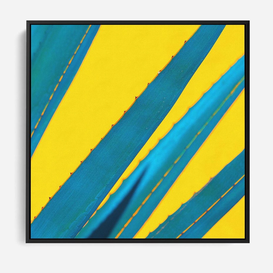 Obraz w ramie 50x50 - Świeżość Natury - aloes, liście - rama czarna